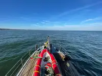 Barcos de trabalho à venda