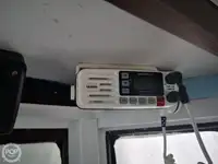 Navio de processamento de peixe à venda