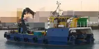 Barcos de trabalho à venda