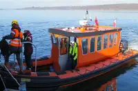 Bote inflável rígido à venda