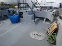 Catamarã à venda
