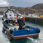 Barcos de trabalho à venda