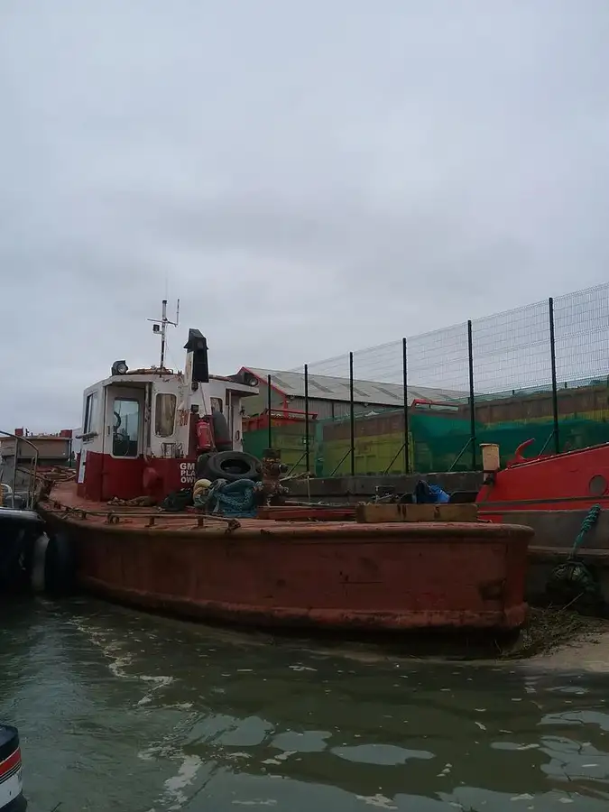 Barcos de trabalho à venda
