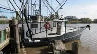 Trawler à venda