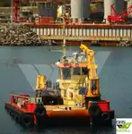 Barcos de trabalho à venda