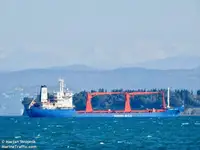 Navio graneleiro à venda