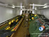 Navio de pesca de arrasto à venda