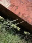 Barcaça à venda