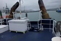 Rebocador à venda
