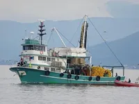 Navio de pesca de cerco à venda