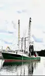 Trawler à venda