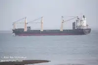 Navio frigorífico à venda