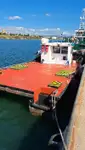Barcos de trabalho à venda