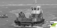 Barcos de trabalho à venda