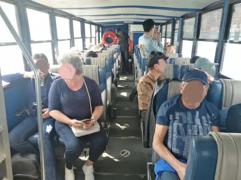 Anfíbio à venda
