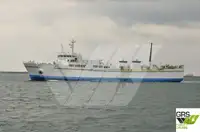 Ro-Ro ship à venda