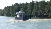 Barcos de trabalho à venda