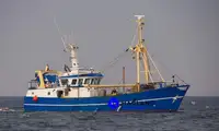 Navio de pesca de arrasto de rede de fundo à venda