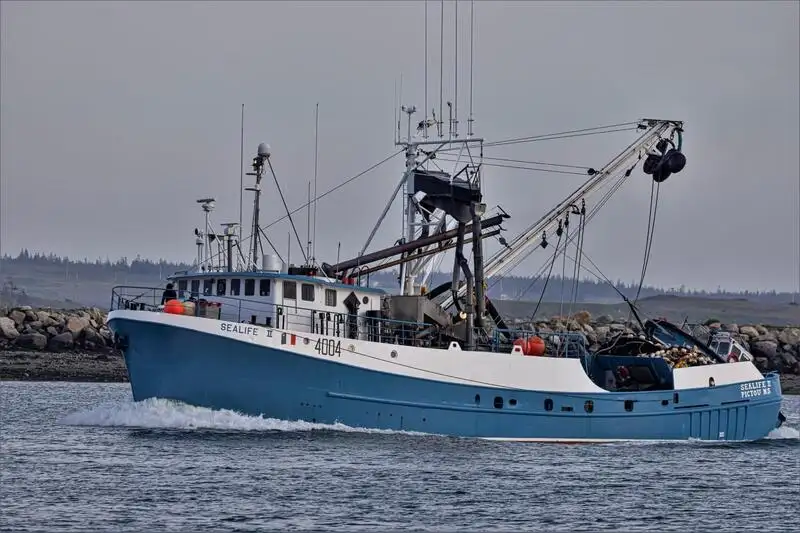 Navio de pesca de cerco à venda