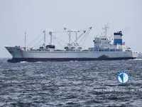 Navio frigorífico à venda
