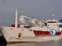 Navio frigorífico à venda