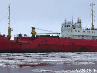 Navio frigorífico à venda