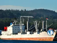 Navio frigorífico à venda