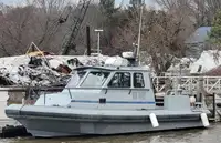 Barcos de trabalho à venda