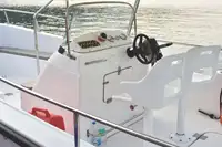 Navio de passageiros à venda