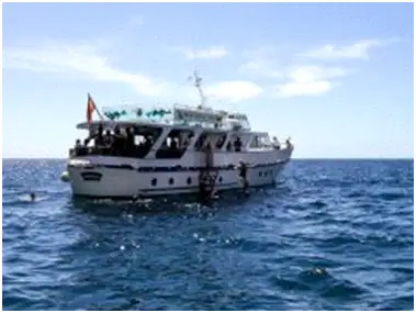 Navio de cruzeiro à venda