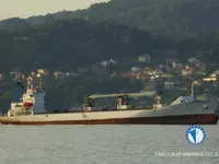 Navio frigorífico à venda