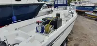 Barcos de trabalho à venda
