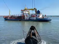 Dragador à venda