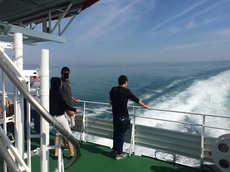 Navio de cruzeiro à venda
