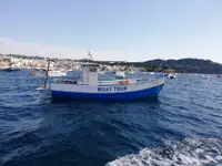 Navio de pesca de arrasto à venda