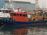Barcos de trabalho à venda