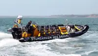 Barco inflável rígido à venda