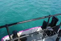 General Cargo/Multi-purpose à venda