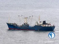 Navio frigorífico à venda
