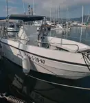 Navio de cruzeiro à venda