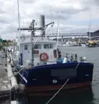 Barcos de trabalho à venda