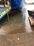 Navio Ro-Ro à venda