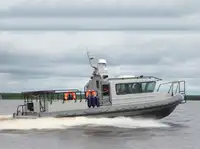 Barcos de trabalho à venda