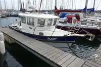 Barcos de trabalho à venda