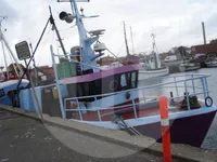 Navio transportador de peixes vivos à venda