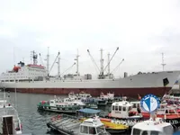 Navio frigorífico à venda