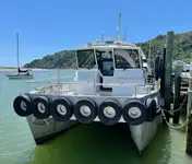 Catamarã à venda