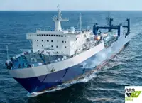 Ro-Ro ship à venda