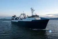 Trawler à venda
