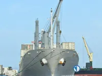 Navio frigorífico à venda